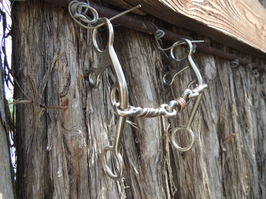 Bogie TwistedWire DogBone Copper